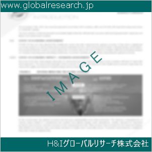 グローバルリサーチ調査資料のイメージ